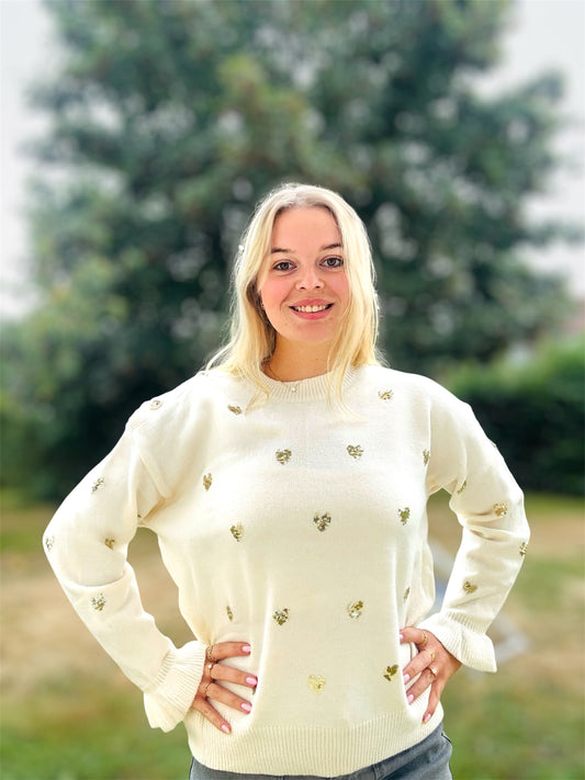 Pull MANON – douceur et éclat scintillant ✨